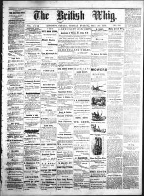 Daily British Whig (1850), 20 May 1873