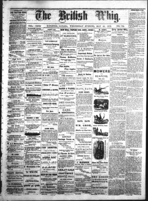 Daily British Whig (1850), 21 May 1873