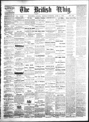 Daily British Whig (1850), 2 Jun 1873