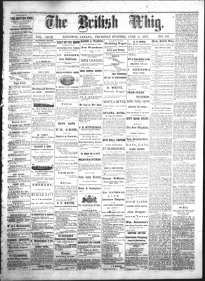 Daily British Whig (1850), 5 Jun 1873