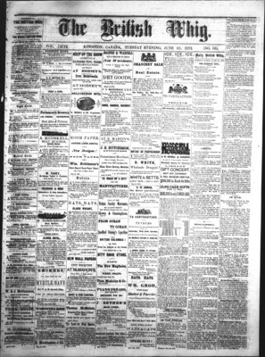 Daily British Whig (1850), 10 Jun 1873