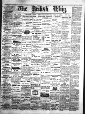 Daily British Whig (1850), 11 Jun 1873