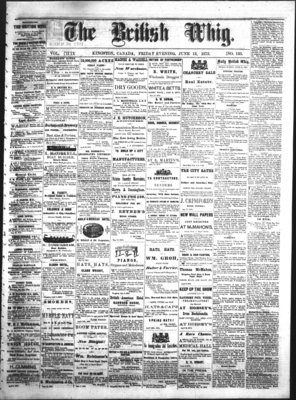 Daily British Whig (1850), 13 Jun 1873