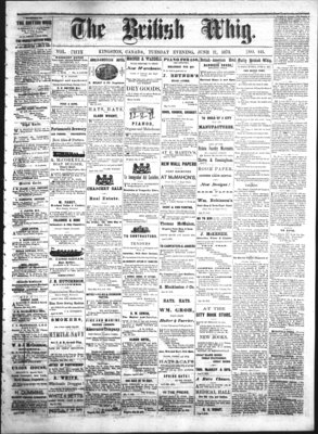 Daily British Whig (1850), 17 Jun 1873