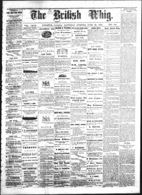 Daily British Whig (1850), 21 Jun 1873