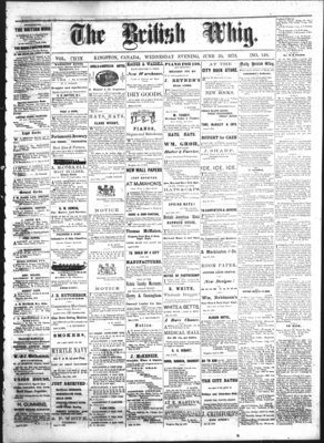 Daily British Whig (1850), 25 Jun 1873