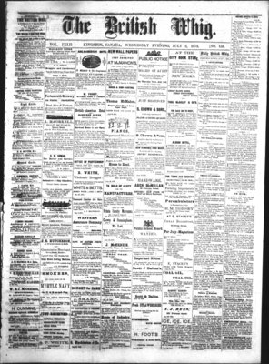 Daily British Whig (1850), 2 Jul 1873