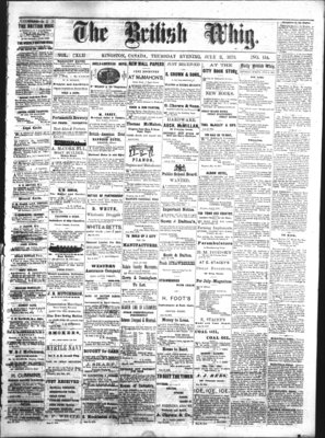 Daily British Whig (1850), 3 Jul 1873