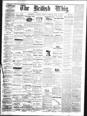 Daily British Whig (1850), 11 Jul 1873