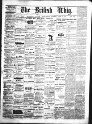 Daily British Whig (1850), 16 Jul 1873