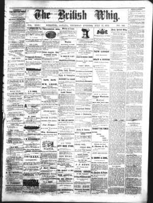 Daily British Whig (1850), 17 Jul 1873