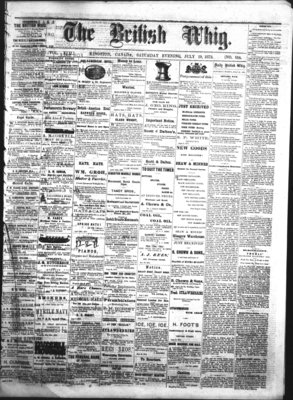 Daily British Whig (1850), 19 Jul 1873