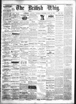 Daily British Whig (1850), 22 Jul 1873