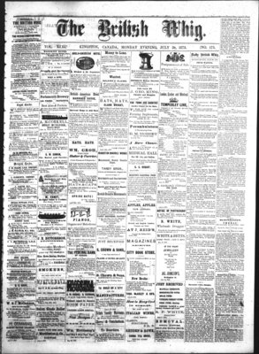 Daily British Whig (1850), 28 Jul 1873