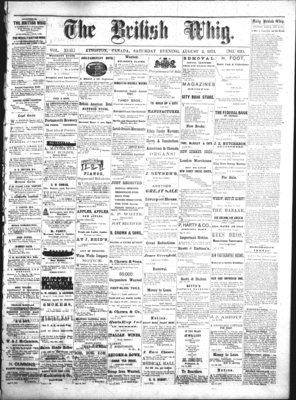 Daily British Whig (1850), 2 Aug 1873