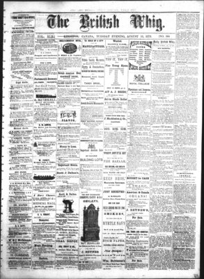 Daily British Whig (1850), 19 Aug 1873