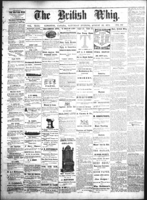 Daily British Whig (1850), 23 Aug 1873