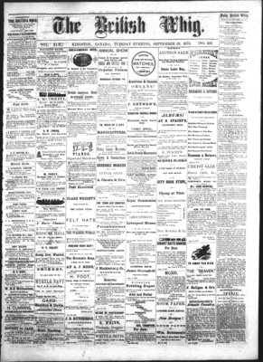 Daily British Whig (1850), 23 Sep 1873