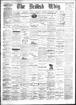 Daily British Whig (1850), 1 Nov 1873