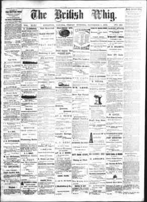 Daily British Whig (1850), 7 Nov 1873