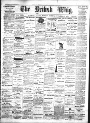 Daily British Whig (1850), 10 Nov 1873