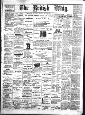 Daily British Whig (1850), 18 Nov 1873