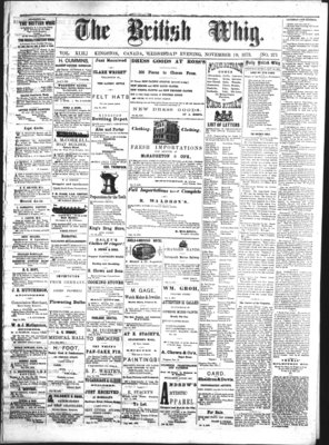 Daily British Whig (1850), 19 Nov 1873