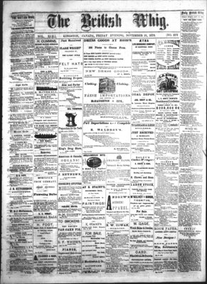 Daily British Whig (1850), 21 Nov 1873