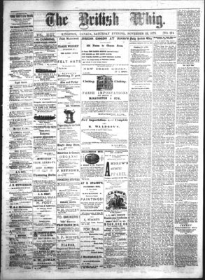 Daily British Whig (1850), 22 Nov 1873