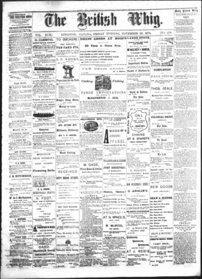 Daily British Whig (1850), 28 Nov 1873