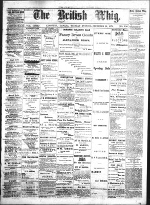 Daily British Whig (1850), 23 Dec 1873