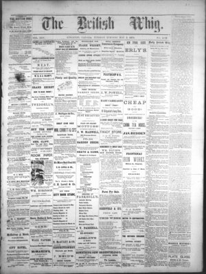 Daily British Whig (1850), 2 May 1876