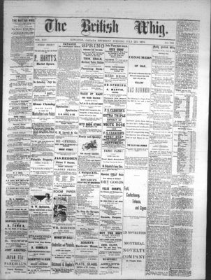 Daily British Whig (1850), 20 Jul 1876