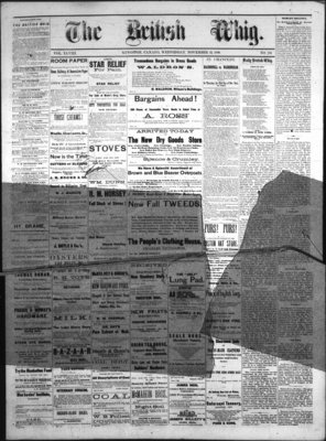 Daily British Whig (1850), 24 Nov 1880