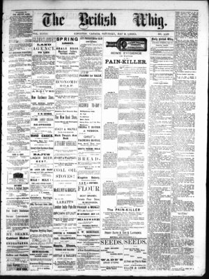 Daily British Whig (1850), 15 May 1880