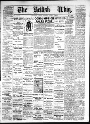 Daily British Whig (1850), 13 Jul 1880