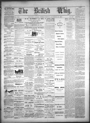 Daily British Whig (1850), 19 Sep 1876