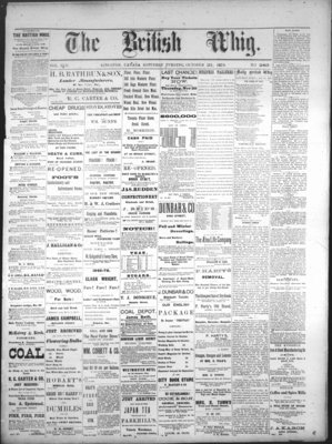 Daily British Whig (1850), 21 Oct 1876