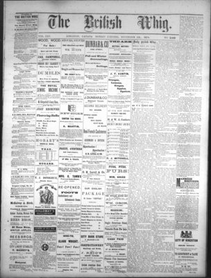 Daily British Whig (1850), 13 Nov 1876