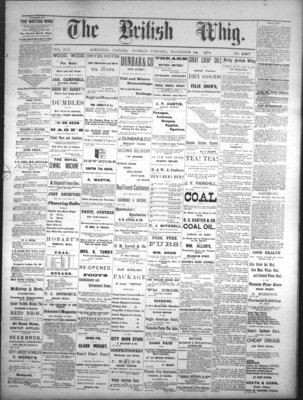 Daily British Whig (1850), 14 Nov 1876