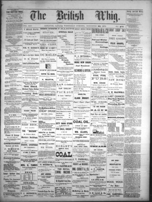 Daily British Whig (1850), 22 Nov 1876