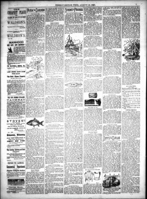 Weekly British Whig (1859), 13 Aug 1885