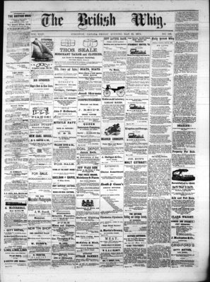 Daily British Whig (1850), 21 May 1875