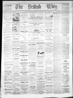 Daily British Whig (1850), 19 Jun 1875