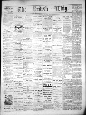 Daily British Whig (1850), 20 Nov 1875