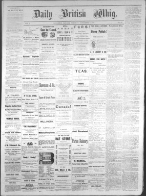 Daily British Whig (1850), 15 Nov 1881