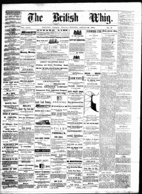 Daily British Whig (1850), 21 Jan 1879