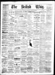 Daily British Whig (1850), 29 Jan 1879