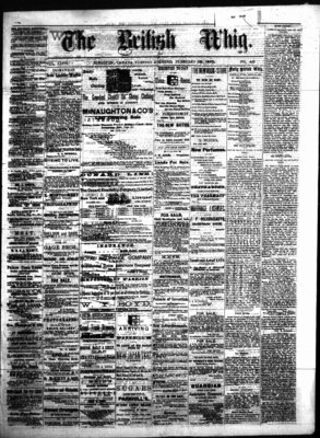 Daily British Whig (1850), 25 Feb 1879