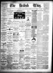 Daily British Whig (1850), 10 May 1879